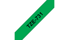 tze731